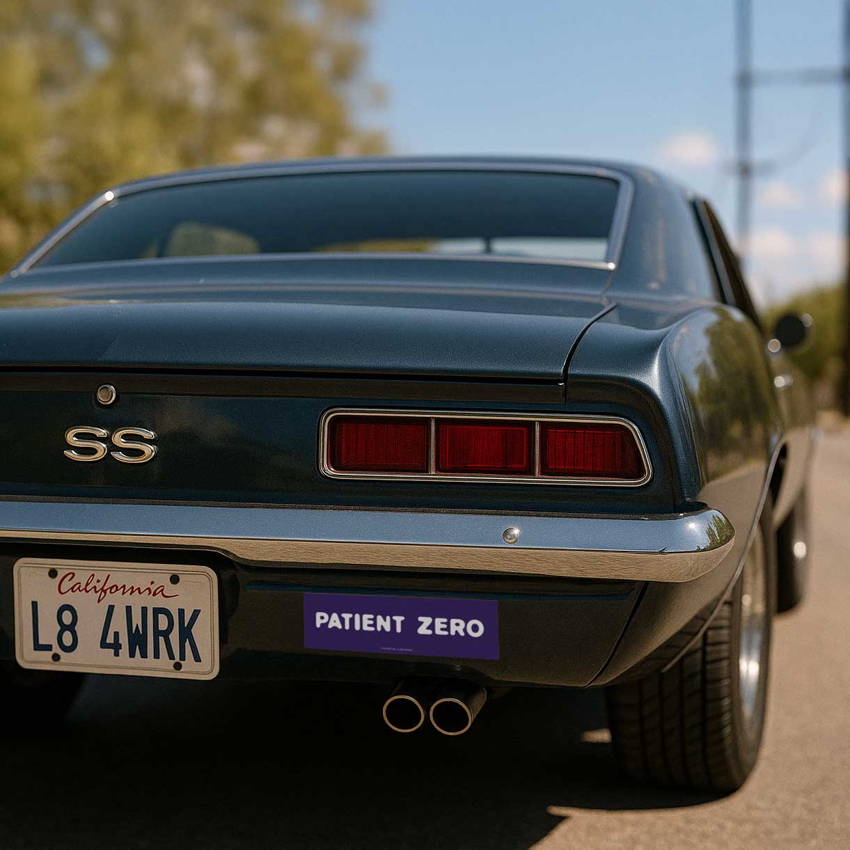 Car Magnet | Signature