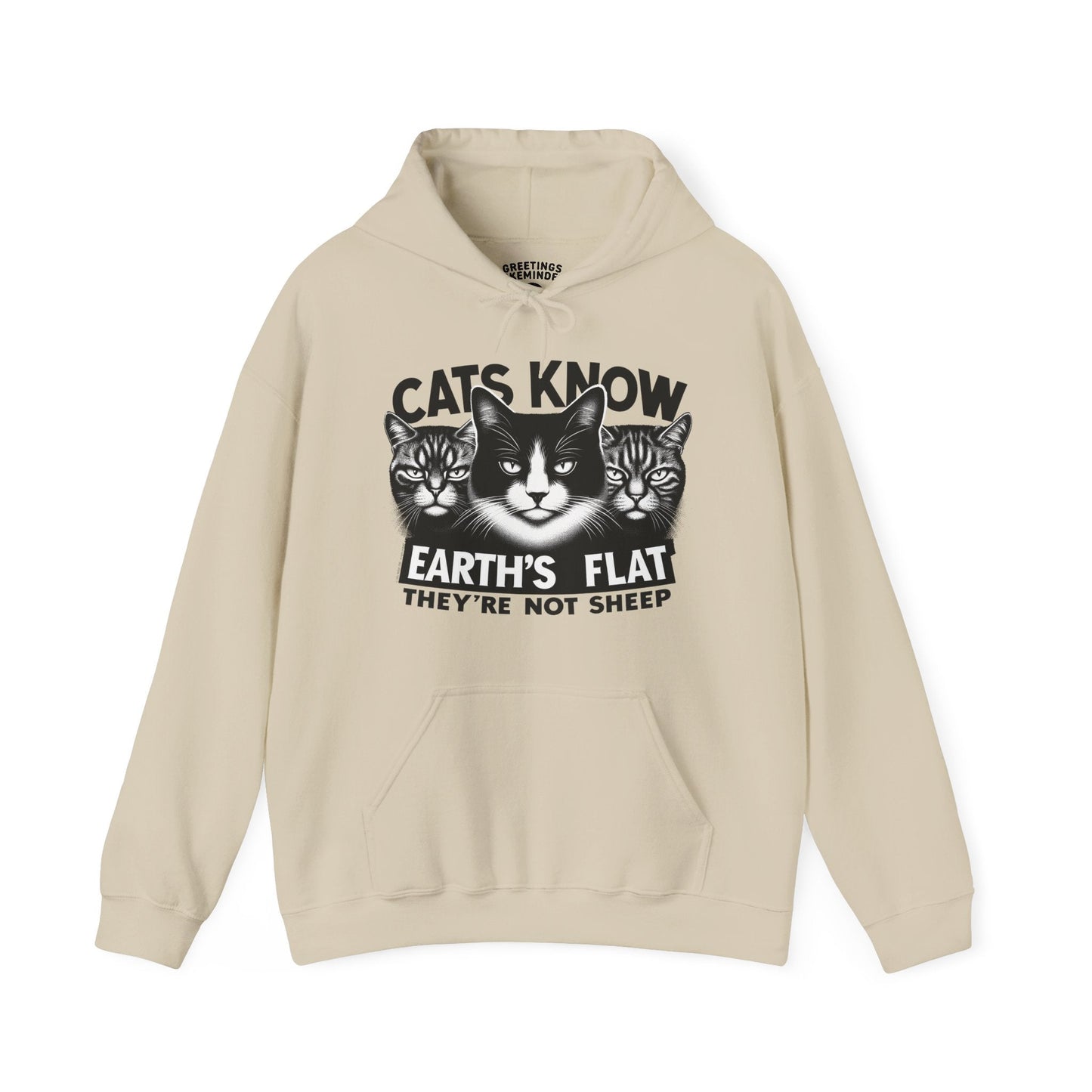 Hoodie | Cats Know