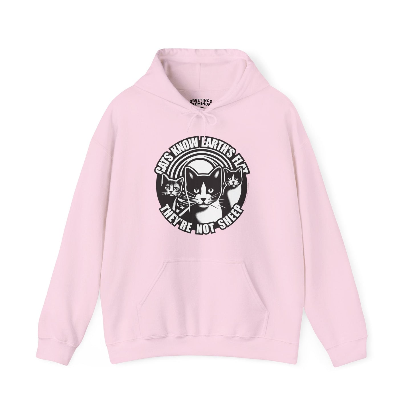 Hoodie | Cats Know
