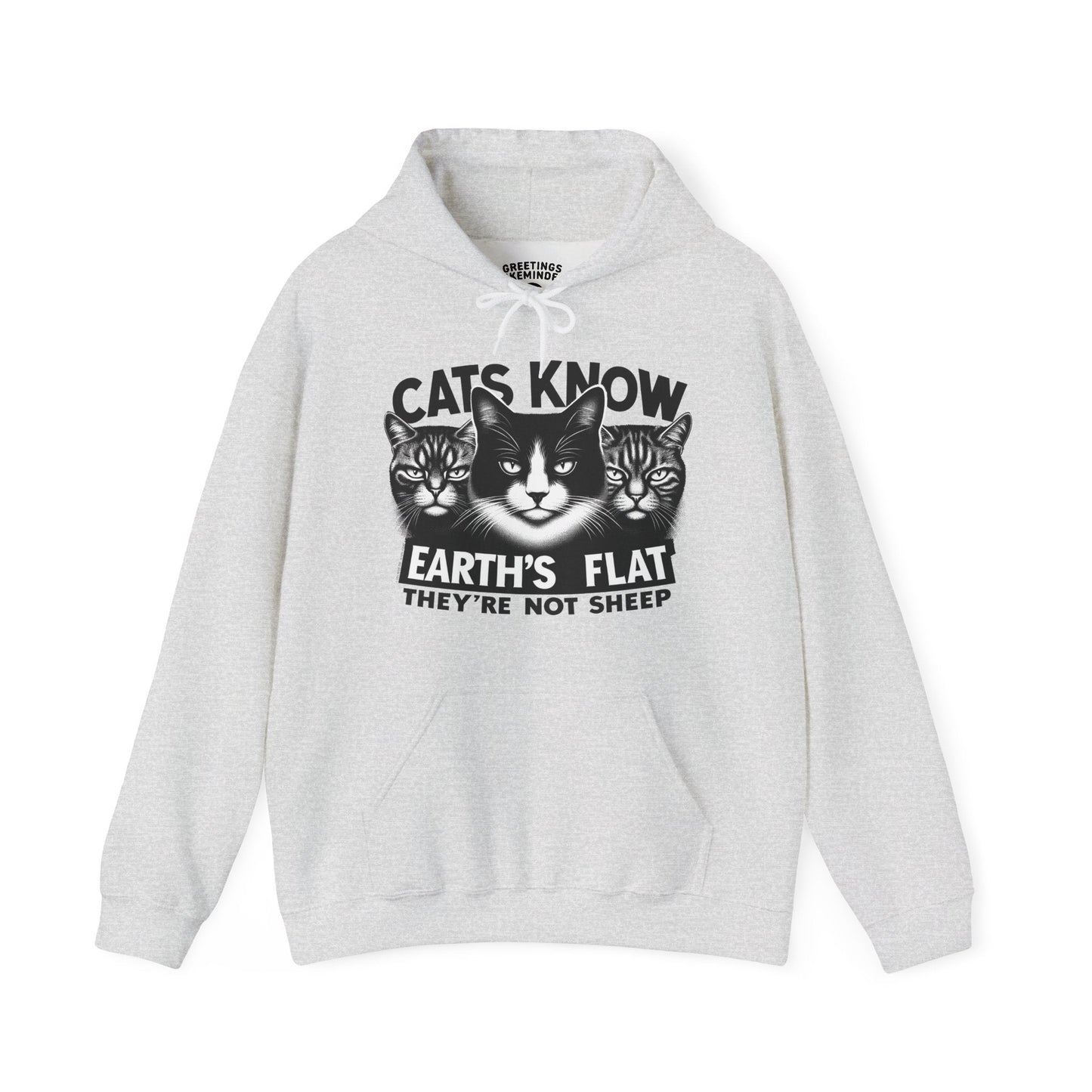 Hoodie | Cats Know