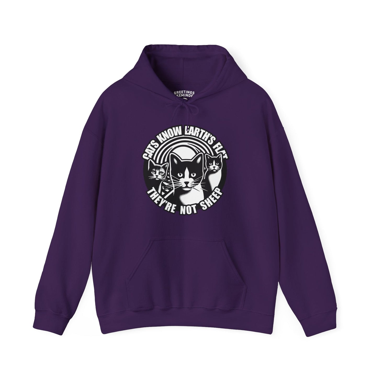 Hoodie | Cats Know