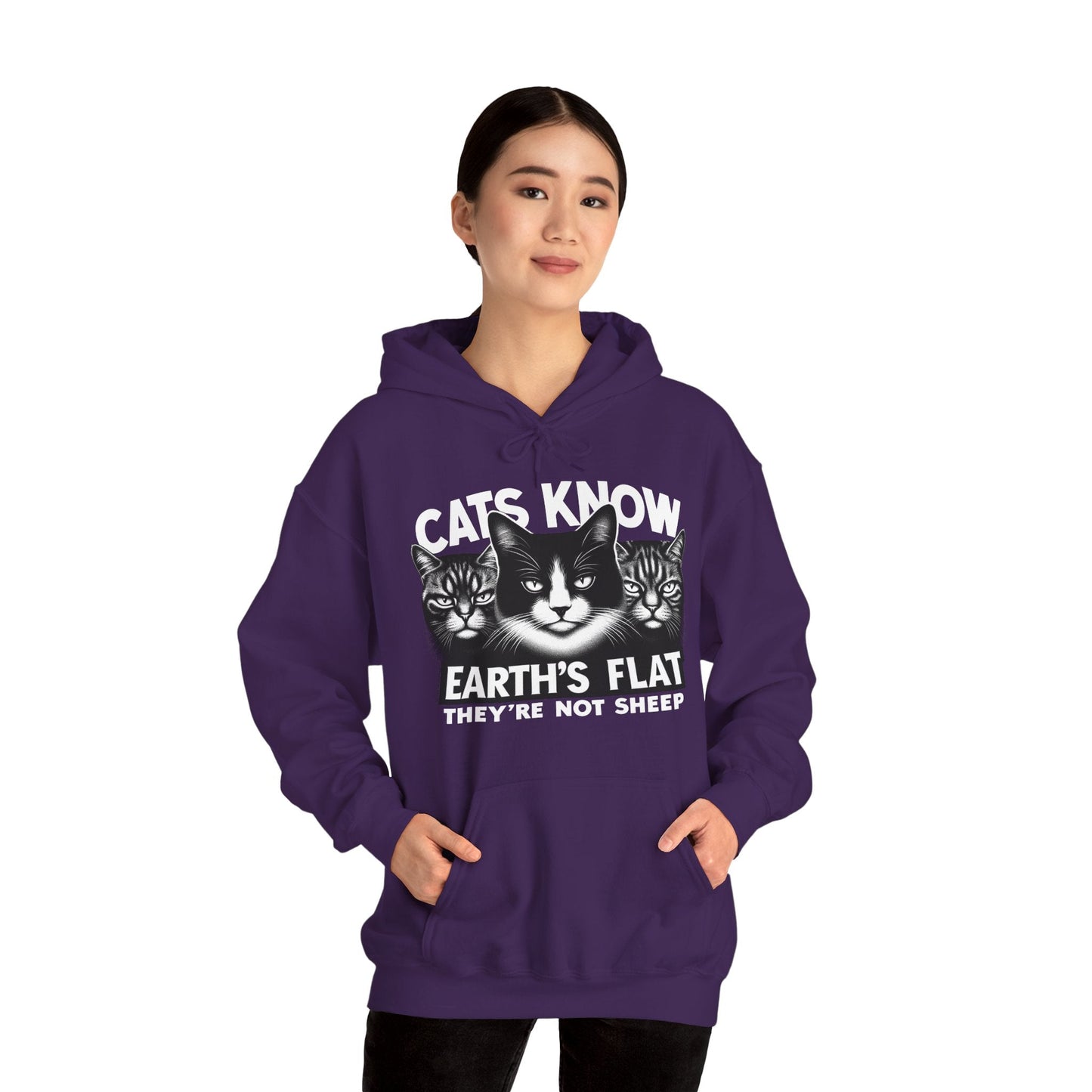 Hoodie | Cats Know
