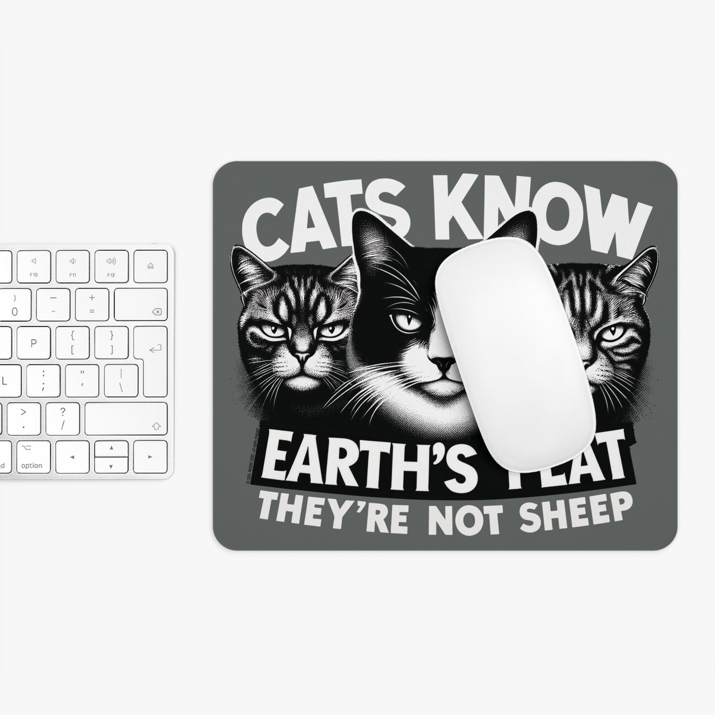 Mouse Pad | Cats Know