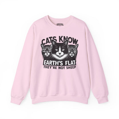 Sweatshirt | Cats Know