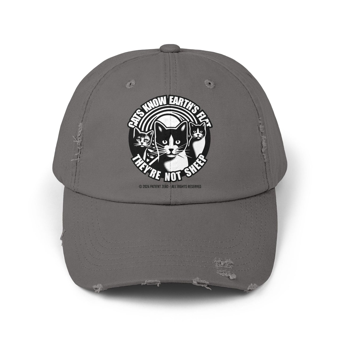 Cap Distressed | Cats Know | Nickel One size