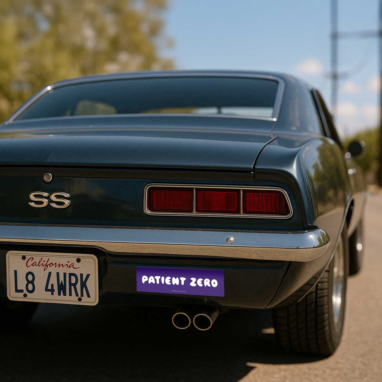 Car Magnet | Signature