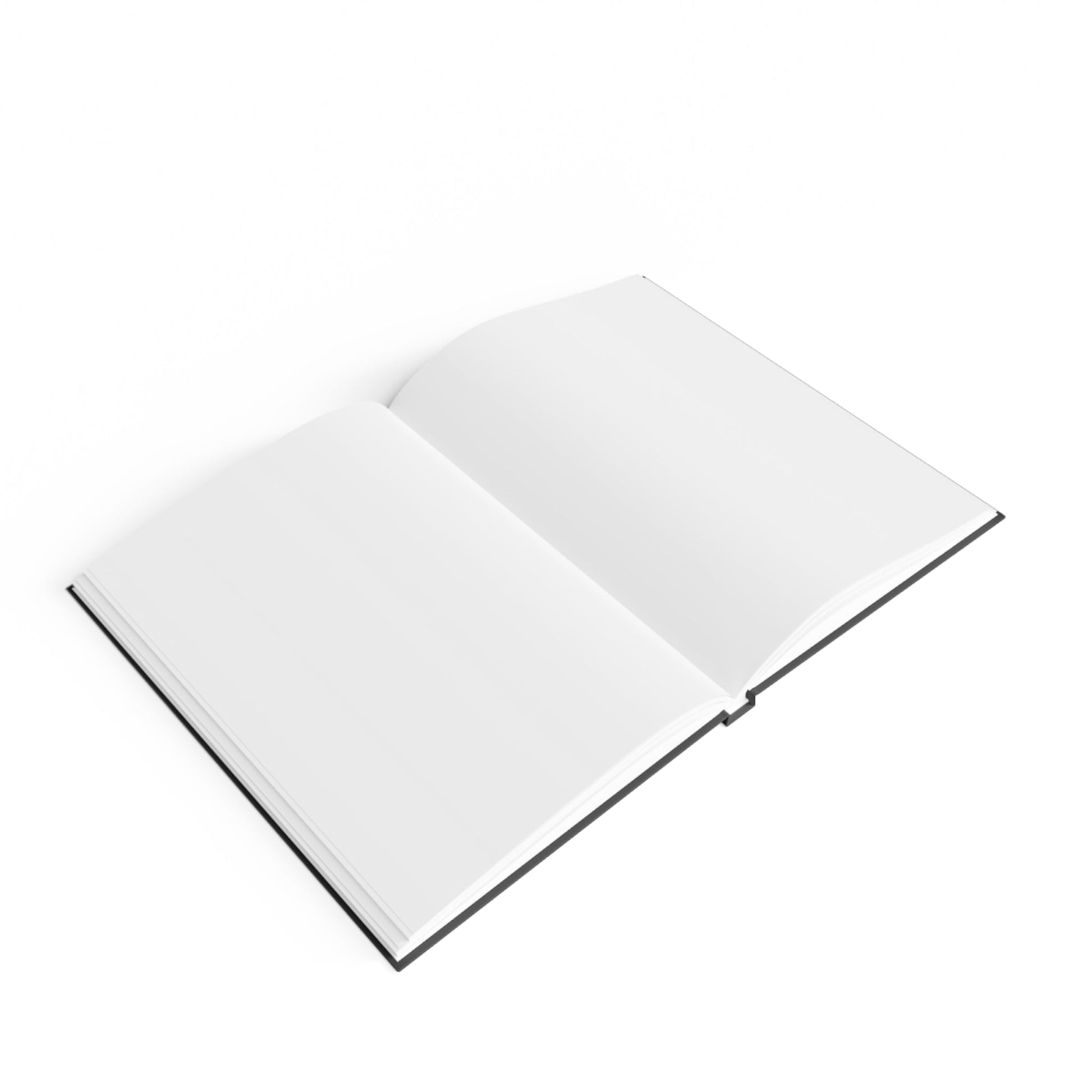 Journal Blank | Conspiracy |