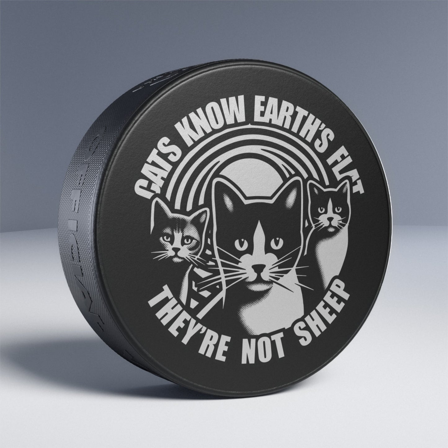 Hockey Puck | Cats Know |