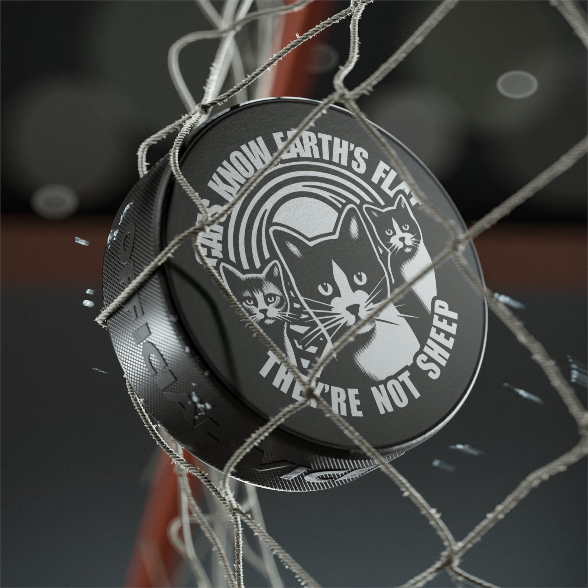 Hockey Puck | Cats Know |