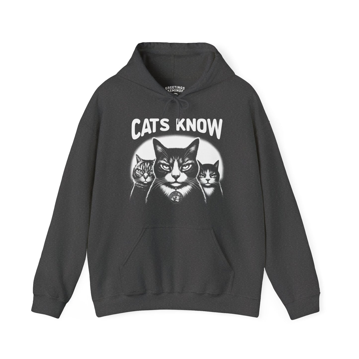 Hoodie | Cats Know