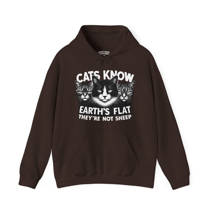 Hoodie | Cats Know