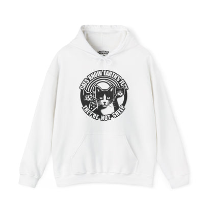 Hoodie | Cats Know