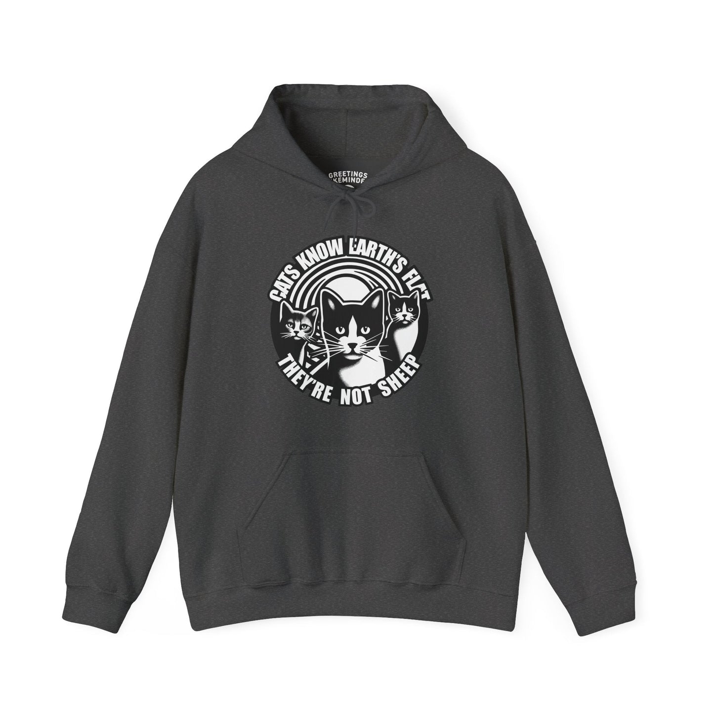 Hoodie | Cats Know