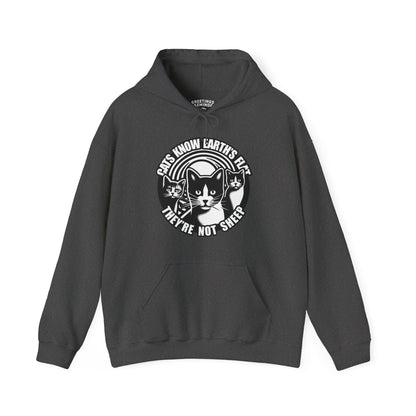 Hoodie | Cats Know
