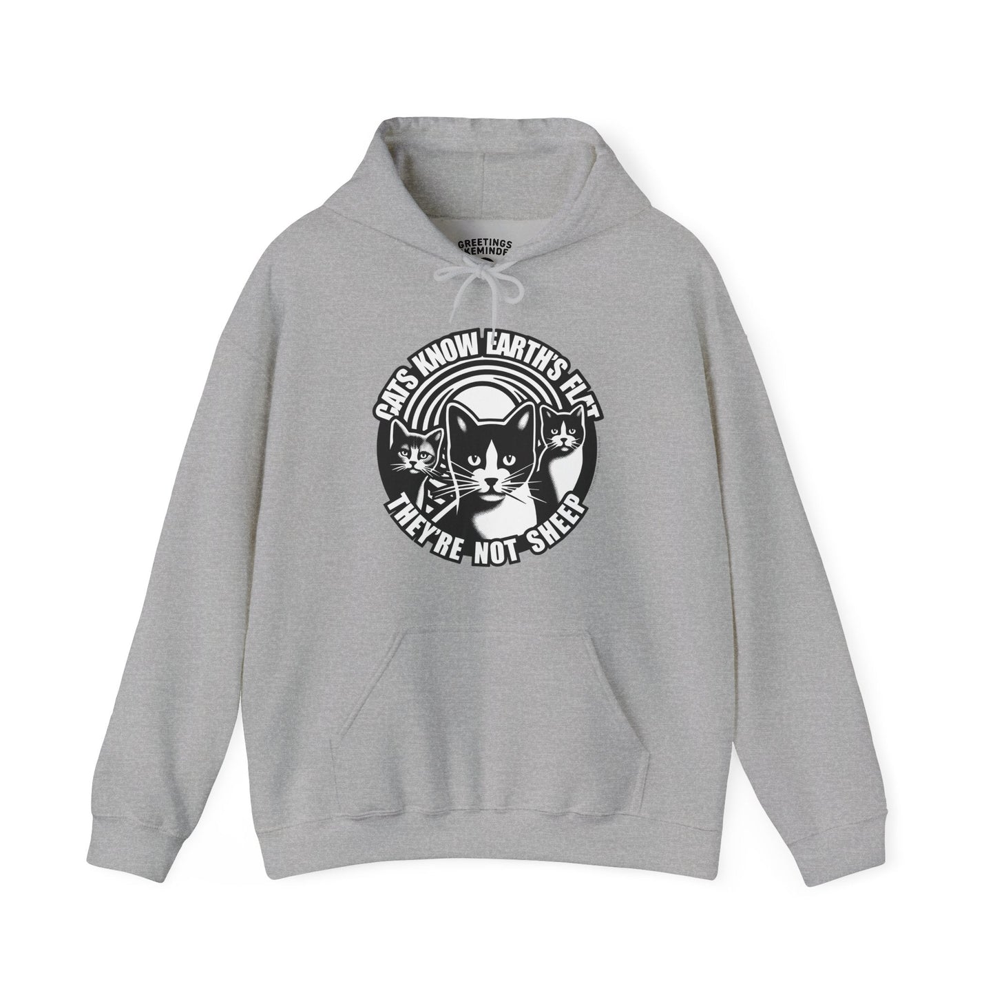 Hoodie | Cats Know