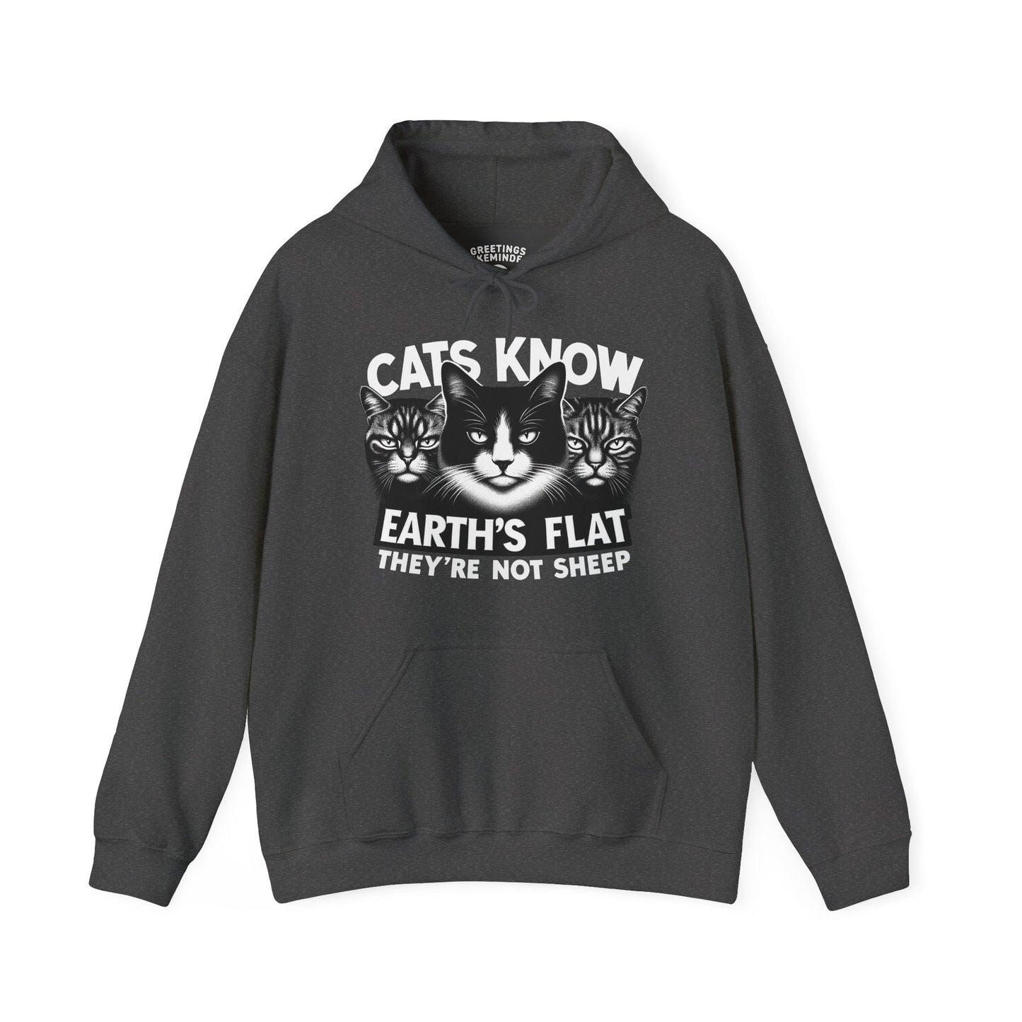 Hoodie | Cats Know