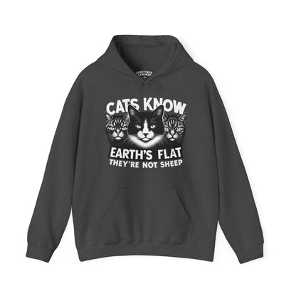 Hoodie | Cats Know