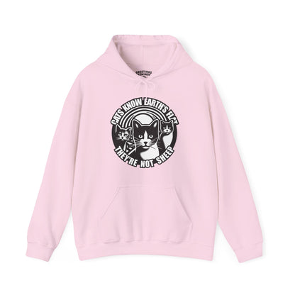 Hoodie | Cats Know