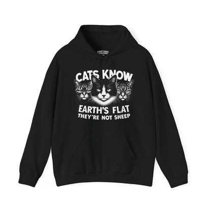 Hoodie | Cats Know