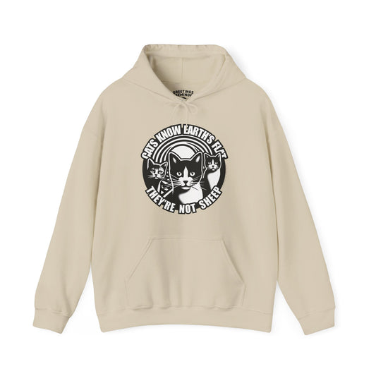 Hoodie | Cats Know