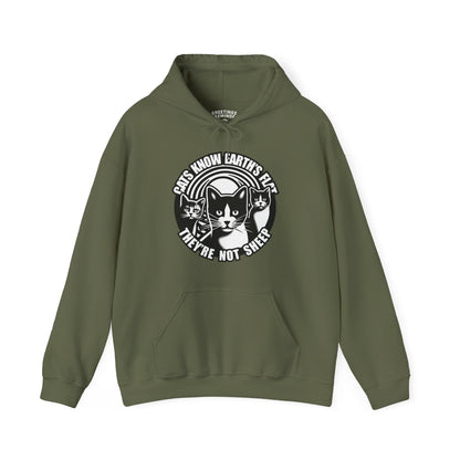 Hoodie | Cats Know