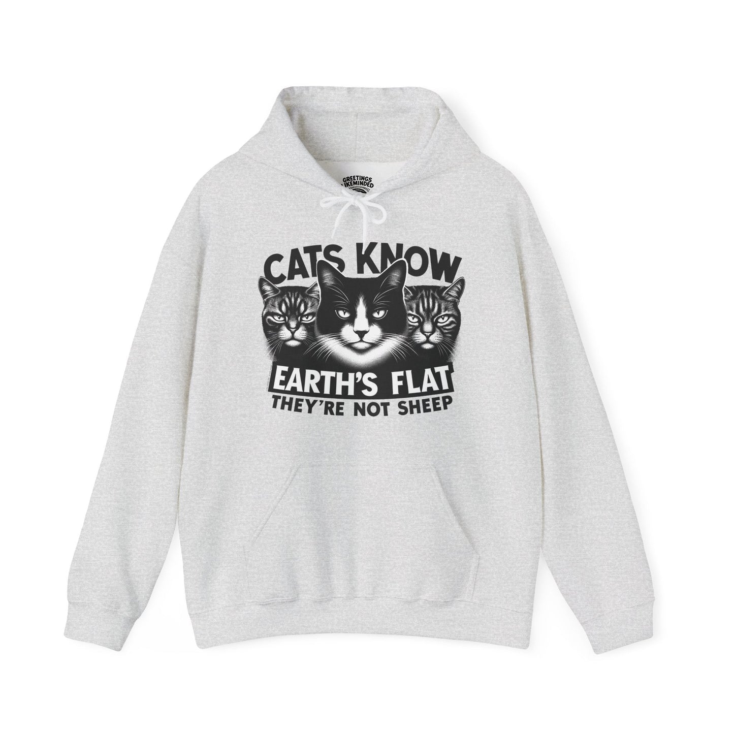 Hoodie | Cats Know