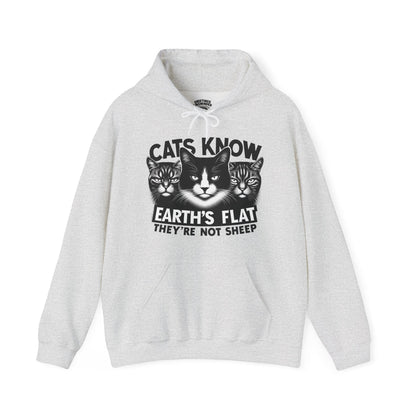Hoodie | Cats Know