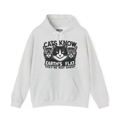 Hoodie | Cats Know