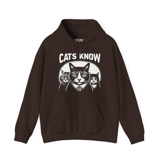 Hoodie | Cats Know