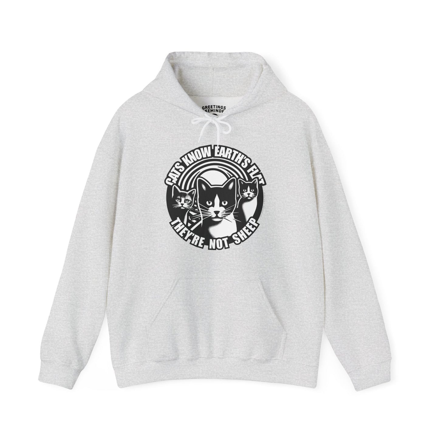 Hoodie | Cats Know