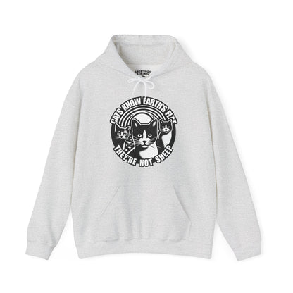 Hoodie | Cats Know