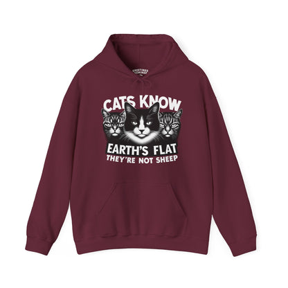 Hoodie | Cats Know