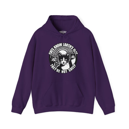 Hoodie | Cats Know