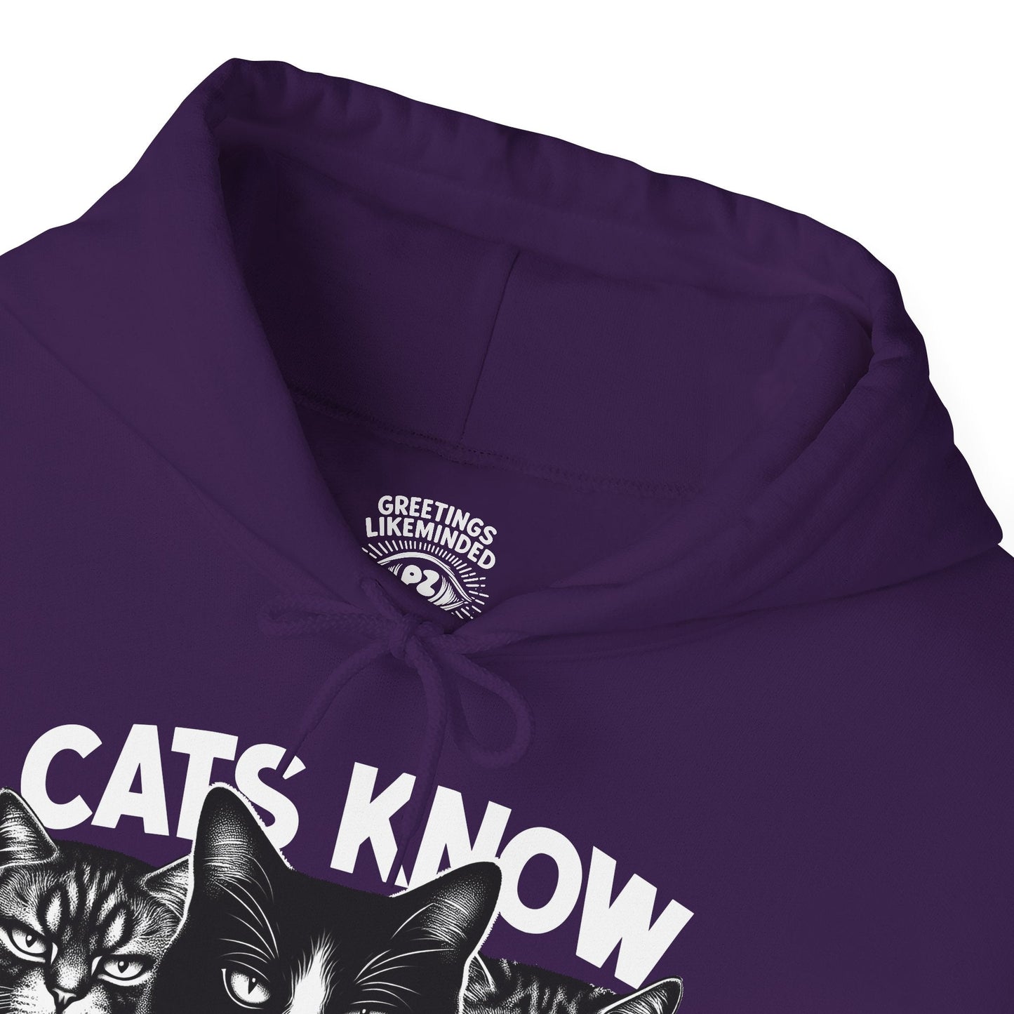 Hoodie | Cats Know