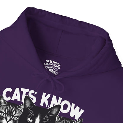 Hoodie | Cats Know