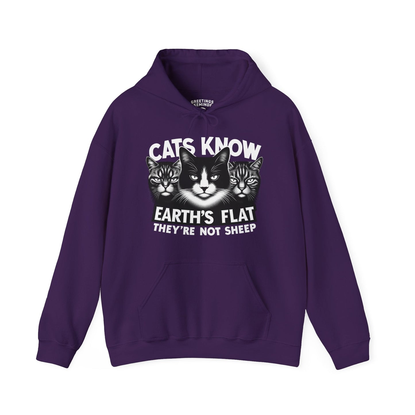 Hoodie | Cats Know