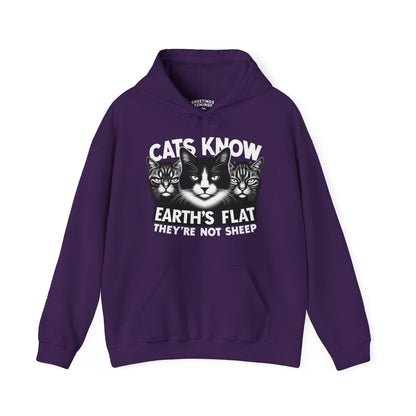 Hoodie | Cats Know