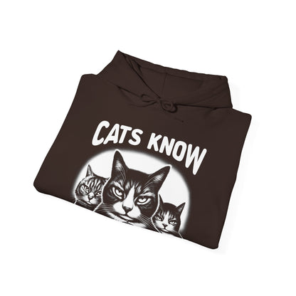 Hoodie | Cats Know