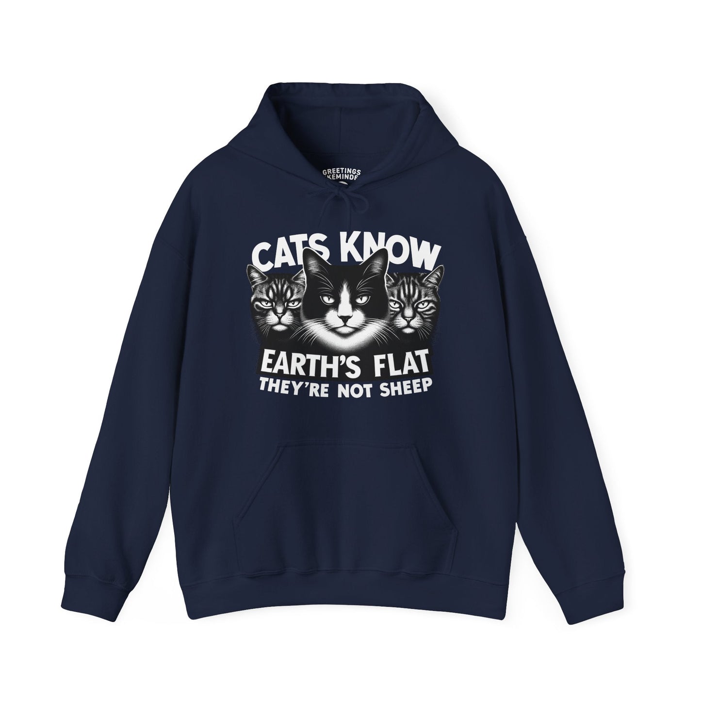 Hoodie | Cats Know