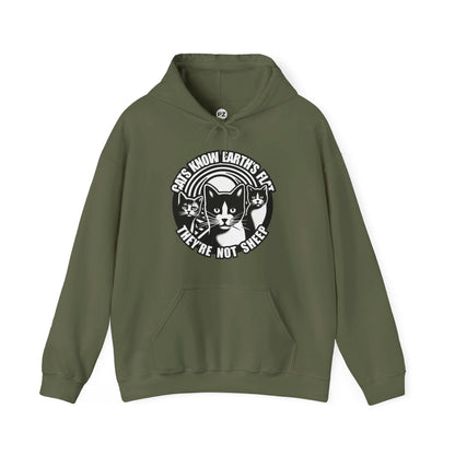 Hoodie | Cats Know | Military Green