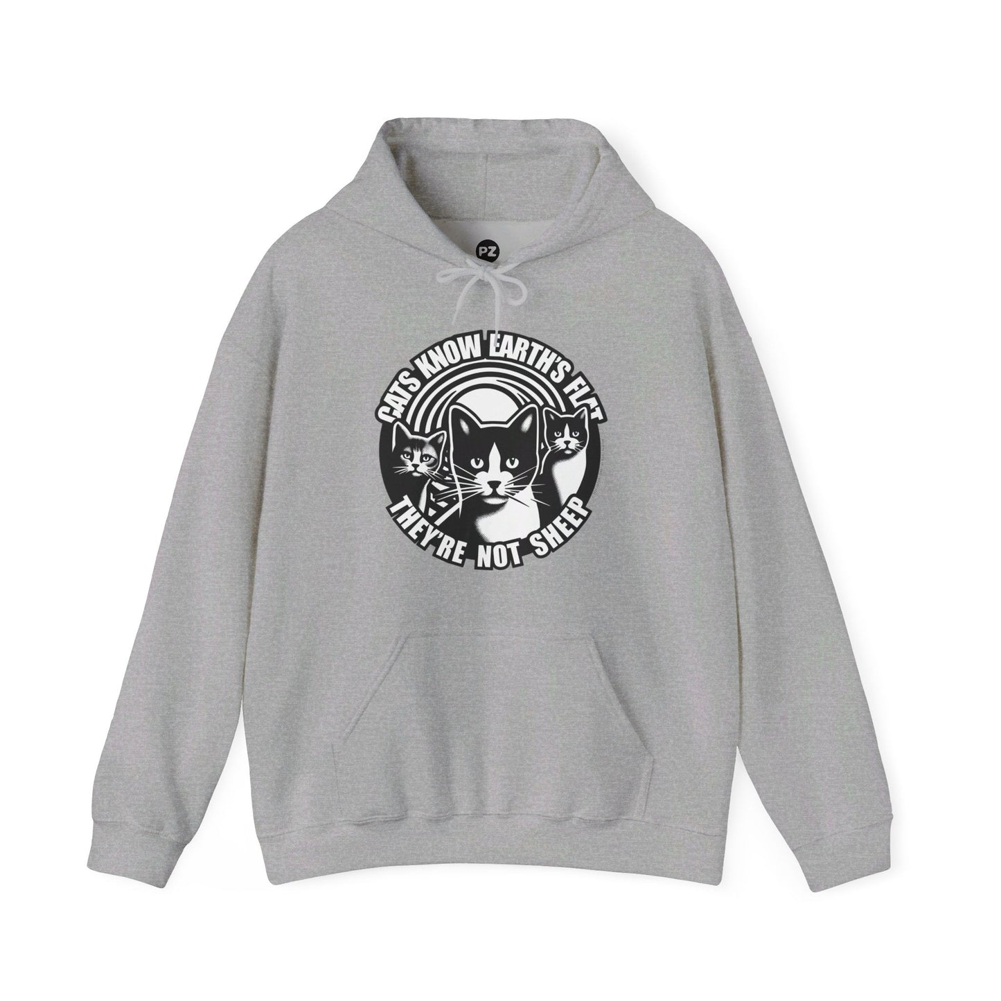 Hoodie | Cats Know | Sport Grey