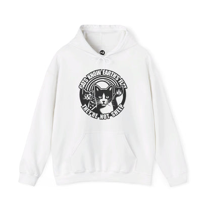 Hoodie | Cats Know | White