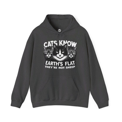 Hoodie | Cats Know | Dark Heather