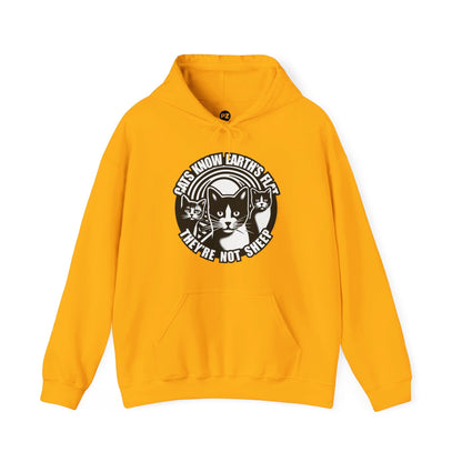 Hoodie | Cats Know | Gold