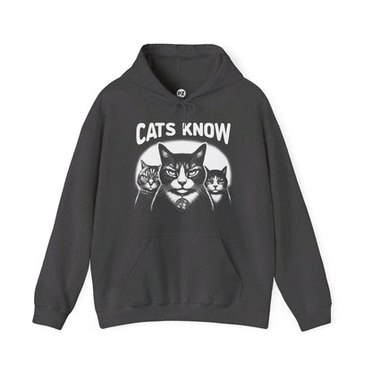 Hoodie | Cats Know | Dark Heather