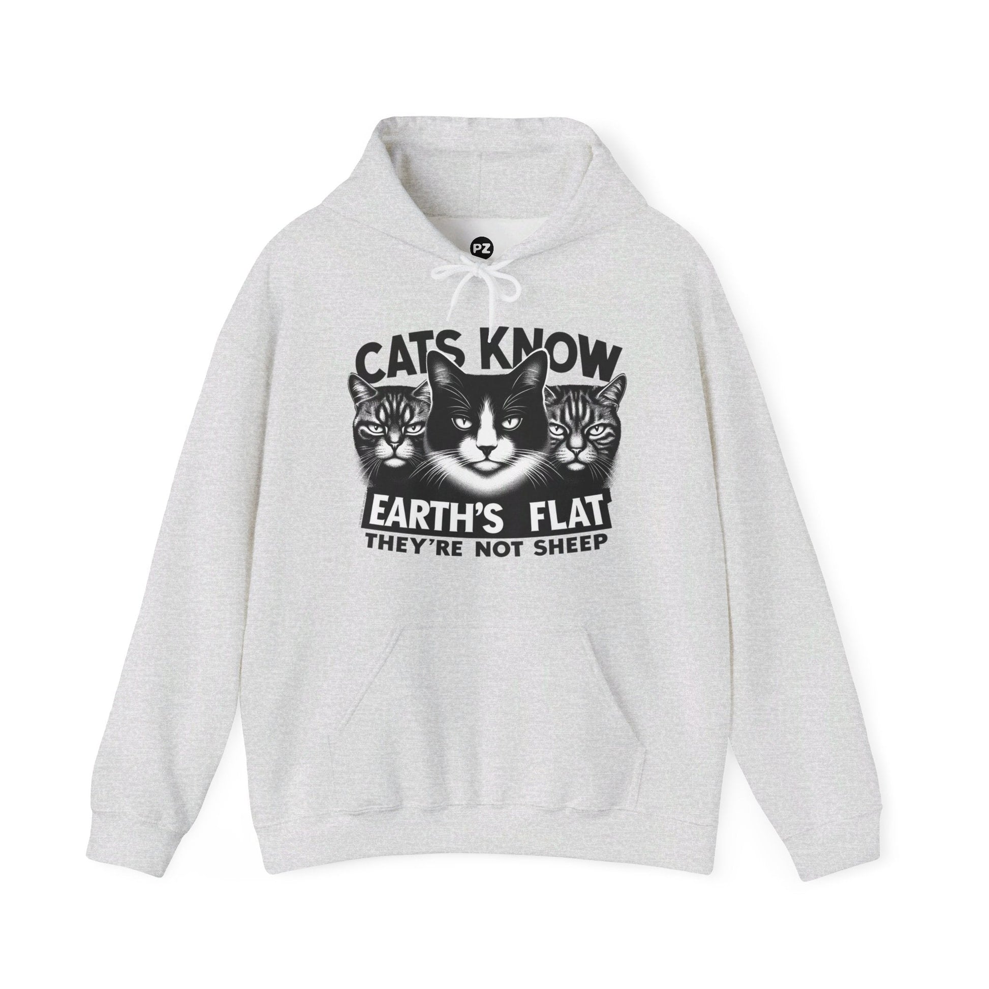 Hoodie | Cats Know | Ash