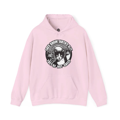 Hoodie | Cats Know | Light Pink