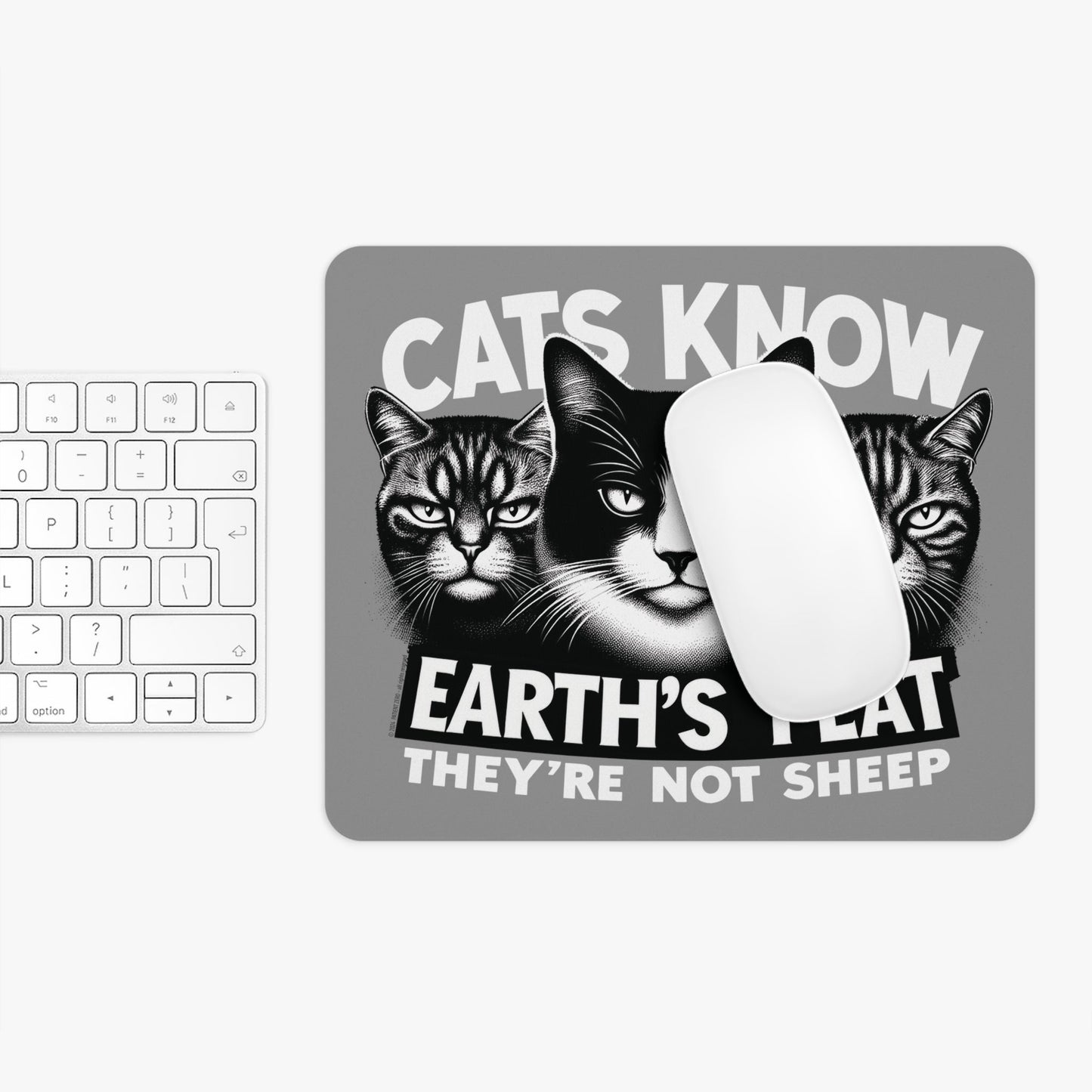 Mouse Pad | Cats Know |