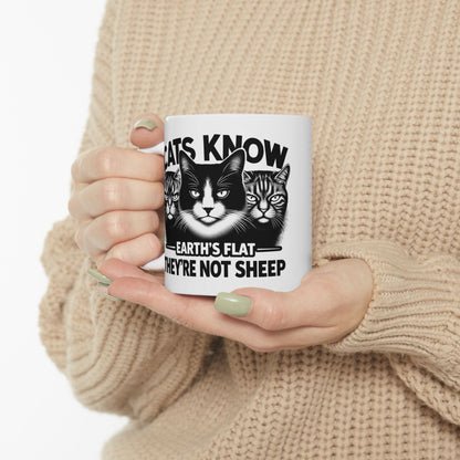 Mug | Cats Know |
