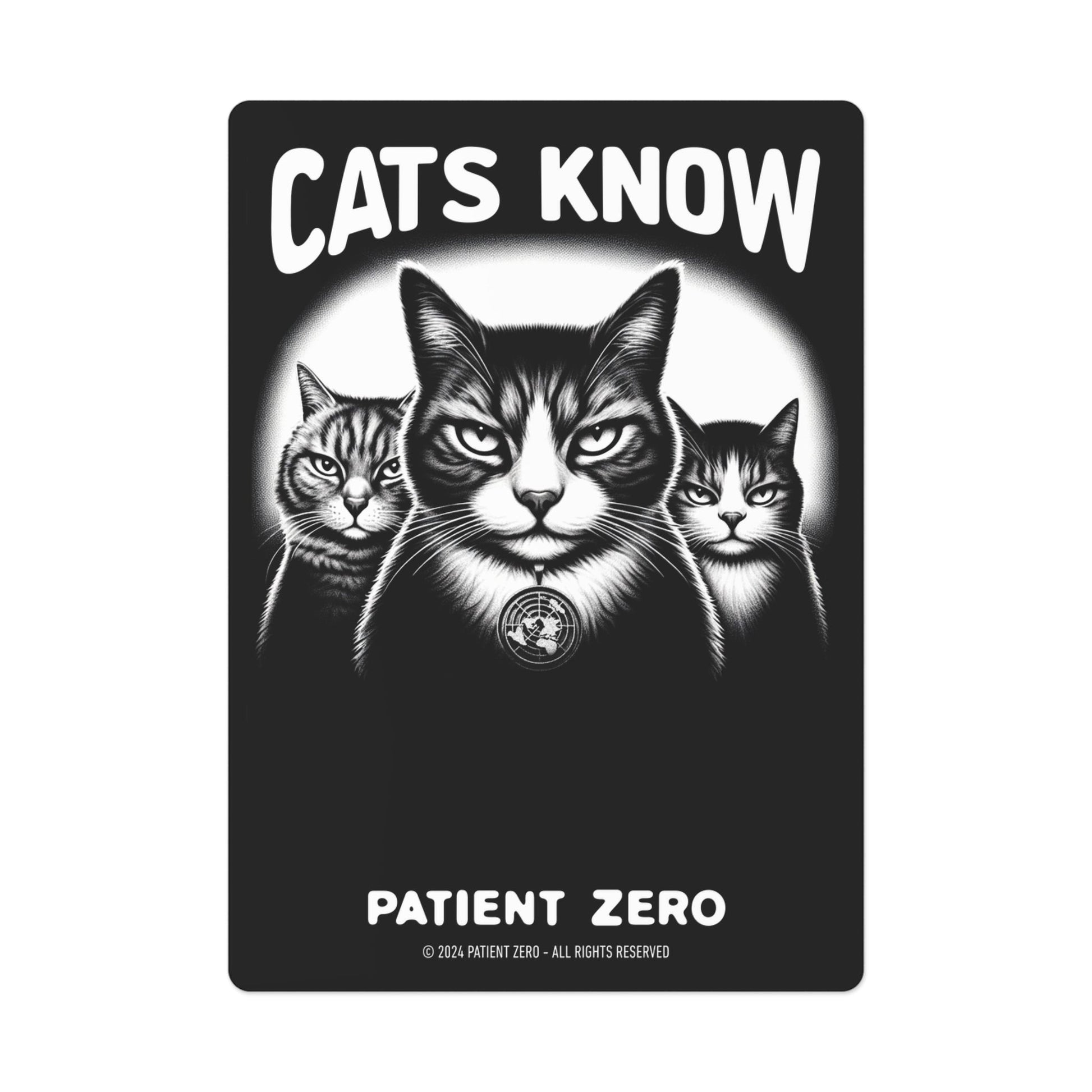 Playing Cards | Cats Know | 2.5" x 3.7" Glossy